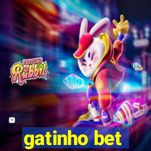 gatinho bet